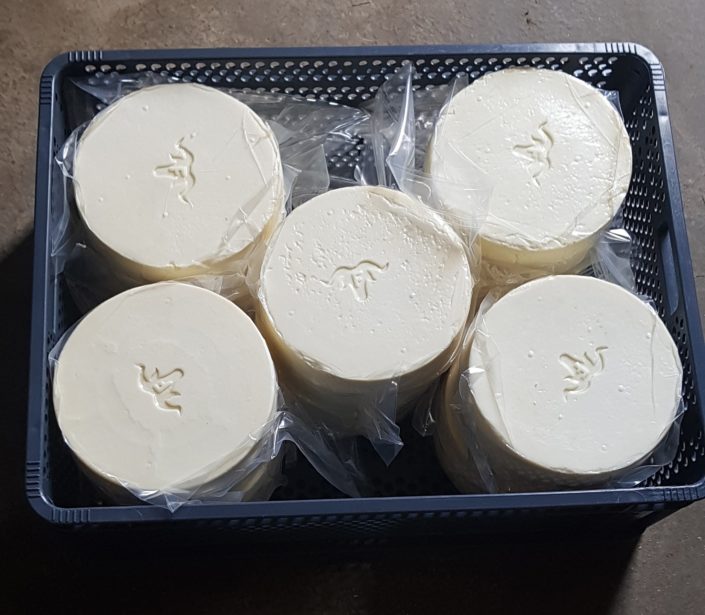 Bac à fromage Ossau-Iraty